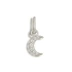 Bikini Charms