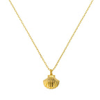 Seashell Necklace - EVRYJEWELS